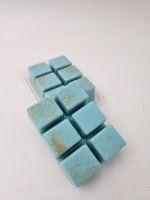 Clamshell Lumea Bloom