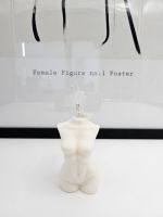 Female Body